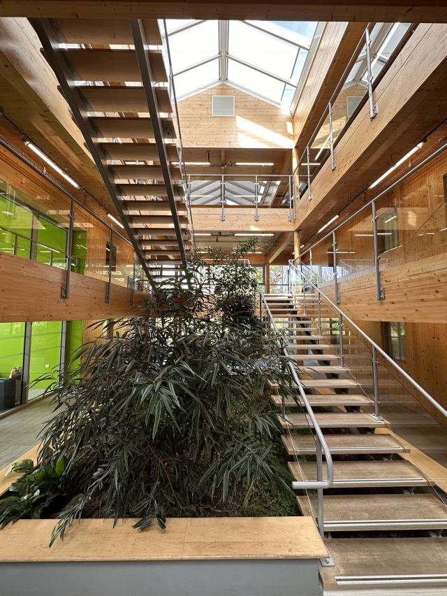 Un Internat entièrement en bois