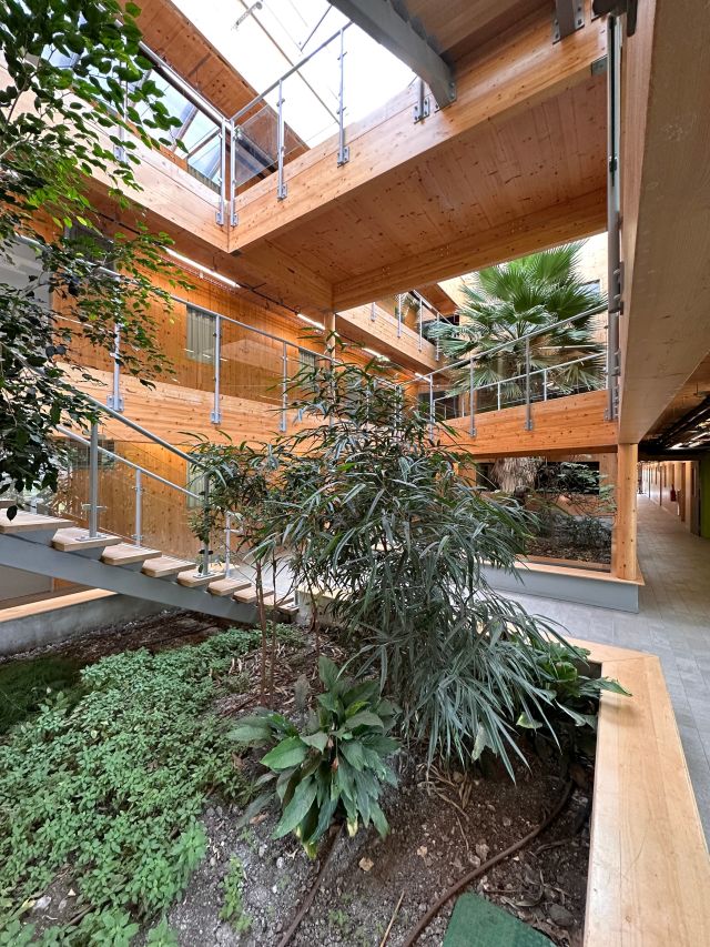 Un Internat entièrement en bois