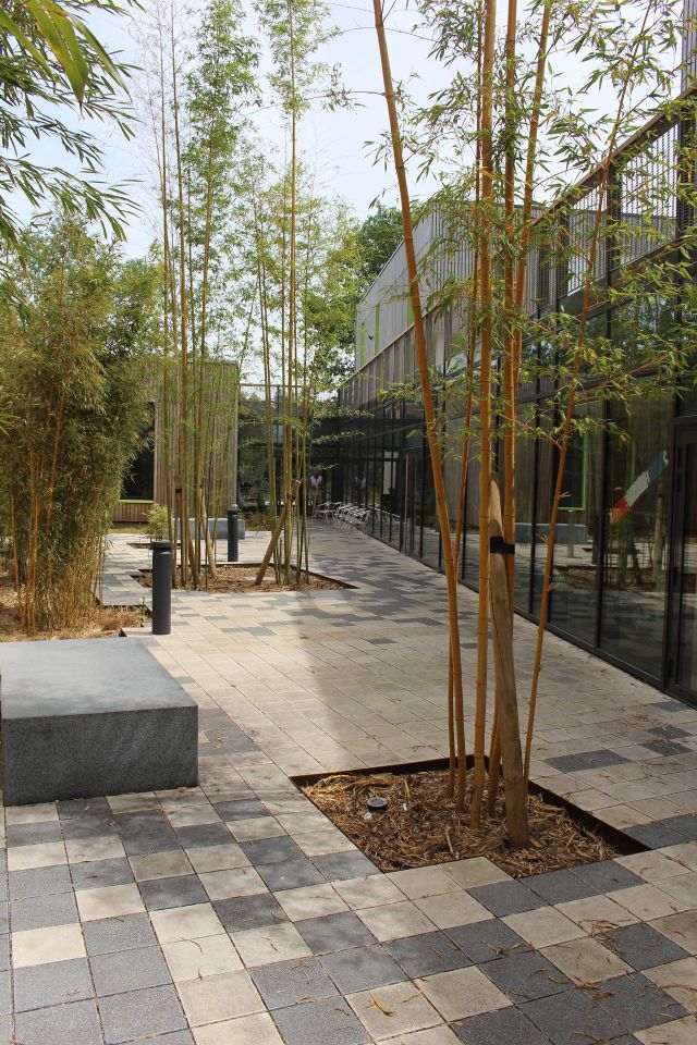 Foyer d'hébergement et EHPAH à Calais