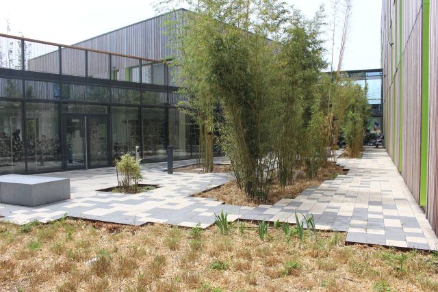 Foyer d'hébergement et EHPAH à Calais